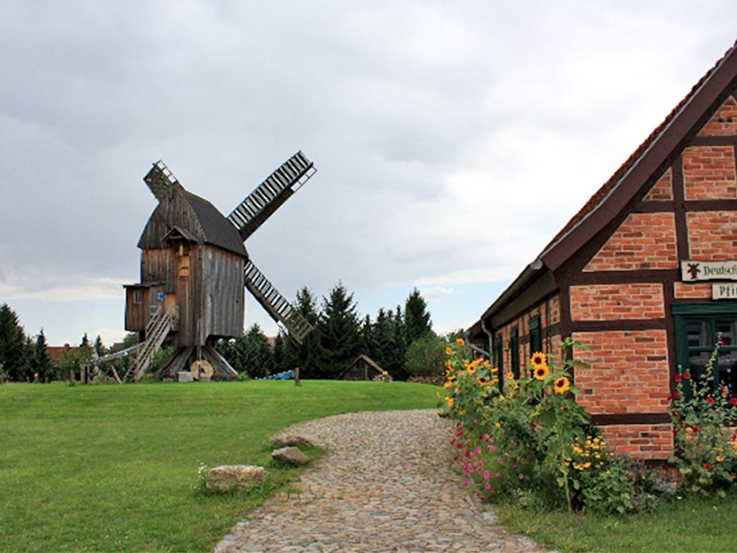 Bockwindmühle Grieben